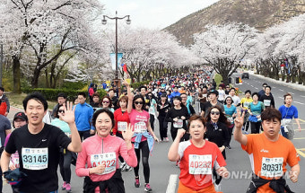 경주 벚꽃길 1만5천명 달렸다…벚꽃마라톤대회 열려
