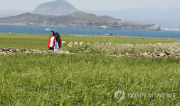 제주 가파도서 청보리 향기를…11일 축제 개막