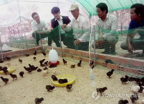한국의 선진 농업기술 전수, 고마워요