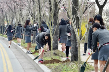 수원시, 고향의 봄길에 무궁화 가로수 길 조성