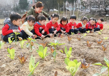 동작구, 대방동 옛 미군부지에 주말농장 텃밭 개장