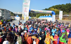 울산 솔마루길 걷기대회 성료