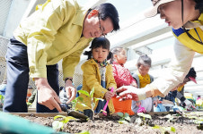 모종 심는 유덕열 동대문구청장