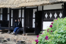 <카메라뉴스> 모란이 피기까지… 영랑생가 모란 활짝