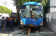 대구서 술 덜 깬 기사가 몰던 시내버스 인도 돌진