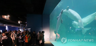 영업중단 롯데월드몰 수족관·영화관 재개장여부 관심