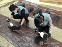 남양주 흥국사 목판조사