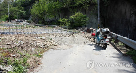 수원시 도로에서 불법영농 나 몰라라 방치