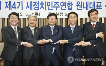 새정치민주연합 원내대표 후보들