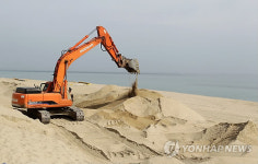 커피 거리 강릉 안목 해안 정비