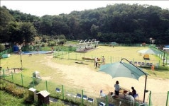 <주목! 이 조례> 울산시 남구 애견운동공원 운영 조례