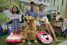 5월 11일은 11번가 펫데이(Pet Day)