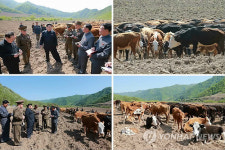김정은, 강원도 군부대 소목장 시찰