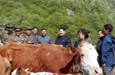 강원도 군부대 소목장 시찰하는 북한 김정은