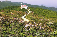 "소백산서 약초 캐면 안됩니다"