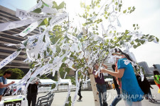 희망의 나무가 되어