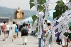 희망의 나무가 되어