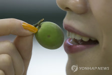 매실의 맛