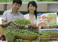매실 사세요
