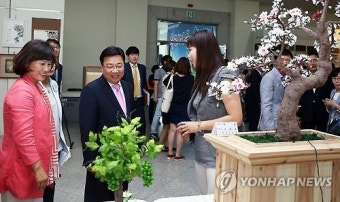 대전 주민자치센터 페스티벌…경연·솜씨자랑 '한마당'