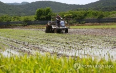 한해 농사의 시작