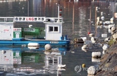 청정해역 통영 바다에 떠다니는 쓰레기