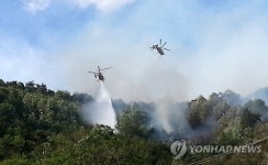 삼척서 산불…헬기·인력 투입돼 진화 중