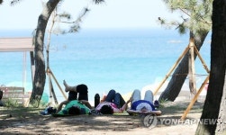 더위에는 시원한 솔밭이 최고