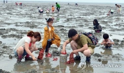 갯벌에서 조개잡는 이 즐거움!