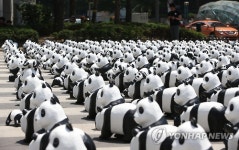 야생동물보호 중요성 알리는 1600 판다