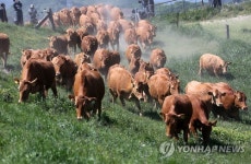 초원아, 반가워!