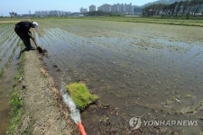하천 물이라도…농업용수 확보 비상