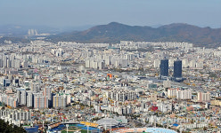 대전 가장 비싼 땅은 은행동 이안경원 부지