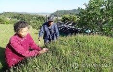<사람들> 26년간 시묘살이 버금가는 효행 실천
