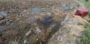 타들어 가는 농심