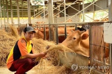 친환경방목축산 농가 완도 백두농장