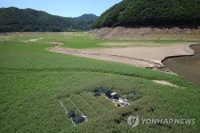 녹색 풀밭으로 변한 소양강