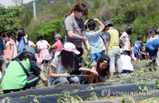 <울산소식> 울산교육청 자나깨나 체험농장 운영