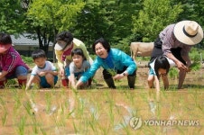 어린이들과 모 심는 김수영 양천구청장
