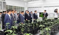 강릉 천연물연구소에 스마트유팜 문 열어