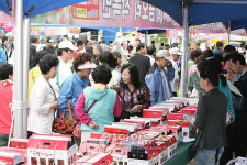 포항 장기면에서 웰빙 산딸기 축제