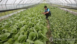 농업회사법인 주식회사 세영급식센터 | 메르스 휴업, 학교 급식 납품 농가도 고통