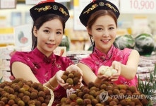 항공 직송한 생(生)리치 맛보세요