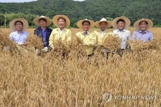 울주군 사료용 청보리 종자 수확