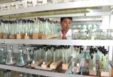 나무모 관찰하는 북한 자강도산림과학연구소 관계자