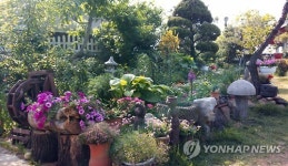파주 심학산 돌곶이 6년 만에 꽃마을로 재탄생