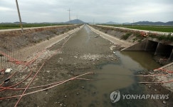 바닥 드러낸 강화 교동면 하천
