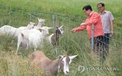 산지생태축산 시범농장 방문한 이동필 장관