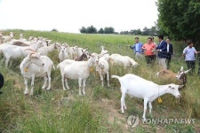 산지생태축산 시범농장 방문한 이동필 장관