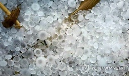전북지역 소나기 최고 38.5㎜…김제엔 1㎝ 크기 '우박'
